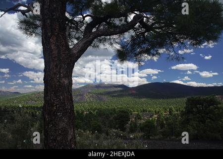 Cinder Hills a landscape of volcanic craters and cones in Sunset Crater Volcano National Monument, AZ Stock Photo