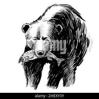 Grizzly bear with a caught salmon fish. Ink black and white drawing Stock Photo