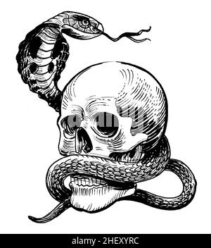 Human skull and cobra snake. Ink black and white drawing Stock Photo