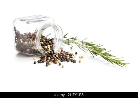 Whole pepper spice and rosemary. Green rosemary branch and peppercorn isolated on white background. Stock Photo