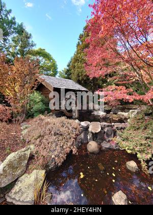 Life in Tasmania and travelling Stock Photo