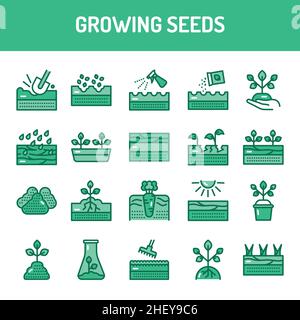 Growing seeds color line icons set. Pictograms for web page, mobile app, promo. UI/UX/GUI design element. Editable stroke. Stock Vector