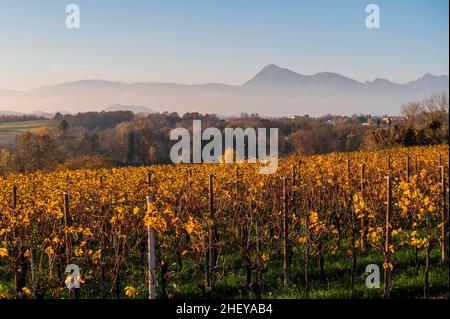 Magic of the village of Villafredda. Between autumn vineyards and historic stones Stock Photo