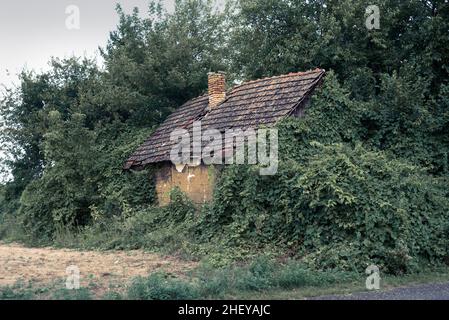 Abandoned country house with tile roof in the bush Stock Photo