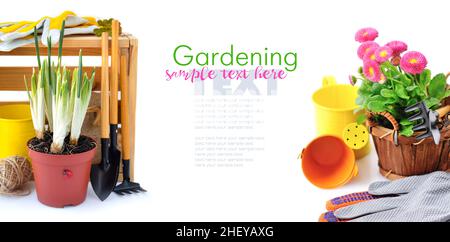 Spring flowers and gardening tools on white background with space for text. Gardening concept Stock Photo