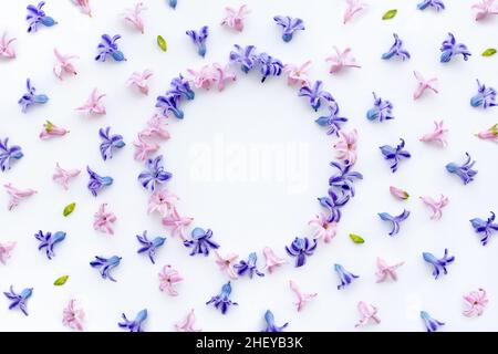 Flowers composition. Frame made of multicolored hyacinth flowers on white background. Flat lay, top view, copy space Stock Photo