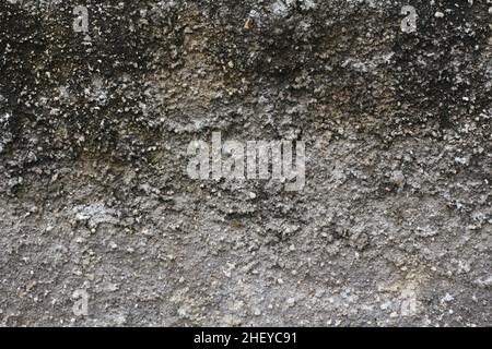 Abstract background monochrome texture used for the effect of covers, posters, and banners Stock Photo