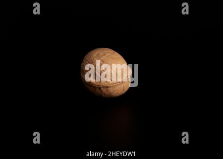 One walnut in shell in the twilight on a black background Stock Photo