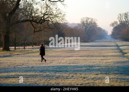 A person walks over frosted grass in Windsor Great Park, Berkshire. Picture date: Thursday January 13, 2022. Stock Photo