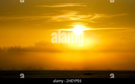 Deer in Windsor Great Park, Berkshire, as the sun rises through early morning mist. Picture date: Thursday January 13, 2022. Stock Photo