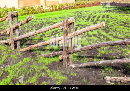 Handmade wooden fence from natural tree trunks at the countryside in summer Stock Photo