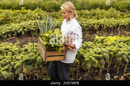 Self-sustainable female chef carrying a crate full of freshly picked vegetables on an organic farm. Young female chef leaving an agricultural field wi Stock Photo