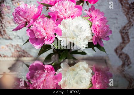 Bouquet of white and pink peony flowers and their reflection in the mirror. Greeting card, bouquet for mom. cut flowers from the garden Stock Photo