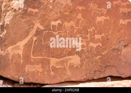 Bushman engravings in the granite rock, Twyfelfontein UNESCO World Heritage Site, Kunene Region, Damaraland, Namibia, Africa. Stock Photo