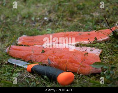 Close up of raw red trout fish fillet, freshly caught arctic char lying on grass ground with knife. Selective focus Stock Photo