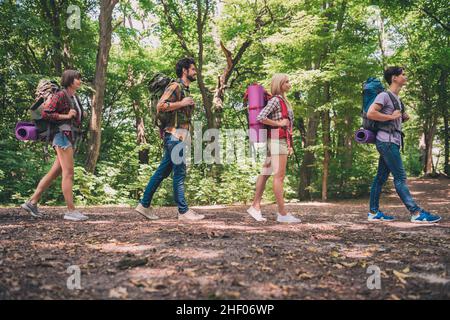 Photo of four positive sporty friends carry large backpack walk mountain hiking wear casual outfit nature woods outside Stock Photo