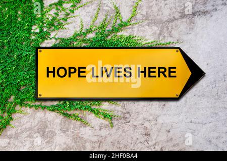 Hope Lives Here on yellow sign hanging on ivy wall Stock Photo