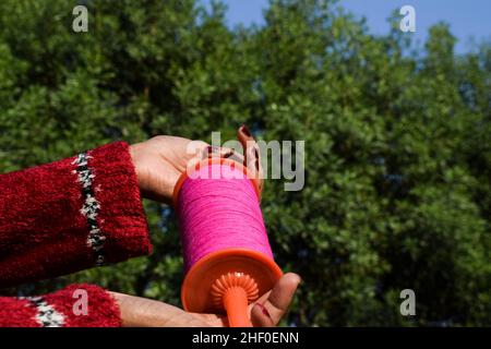 Female holding Kite phirki Manjha or kite spool thread reel in hand and flying kite at house celebrating Indian kite festival of Makar sankranti or Ut Stock Photo