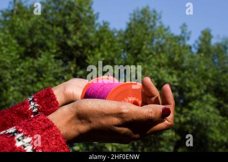 Female holding Kite phirki Manjha or kite spool thread reel in hand and flying kite at house celebrating Indian kite festival of Makar sankranti or Ut Stock Photo