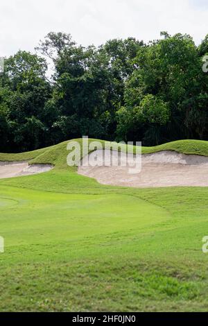 A green golf course panorama sand bunker with tropical trees in Mexico Stock Photo