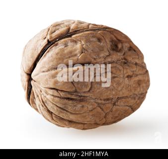 Wulnut isolated on white background with clipping path Stock Photo