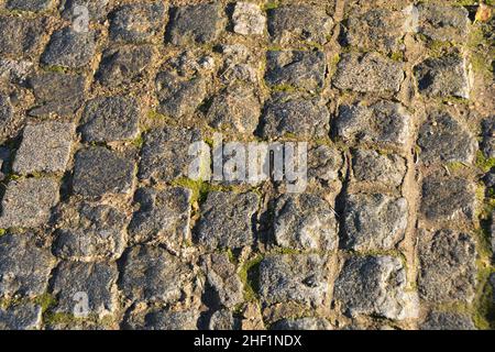 Closeup of moss-covered worn cobble sett paving stones Stock Photo