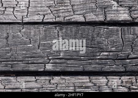 Beautiful wooden background consisting of three boards with a beautiful texture of burnt wood. Stock Photo