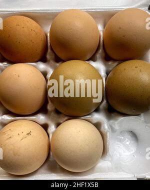 Farm fresh chicken eggs Stock Photo