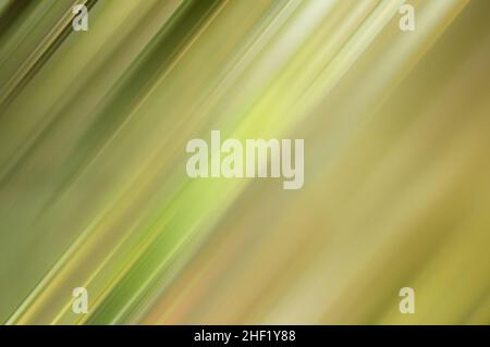 Abstract olive color blurry background with diagonal stripes. Stock Photo