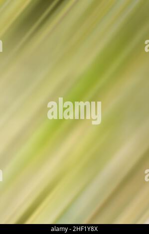 Abstract colorful blurry background with diagonal stripes. Stock Photo