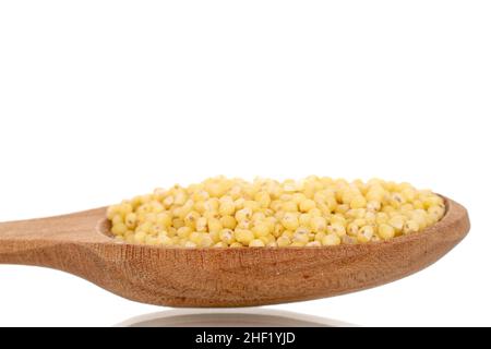 Uncooked organic millet groats with wooden spoon, close-up, isolated on white. Stock Photo