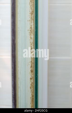 Closeup of the moss stains on the rubber seal of the shower enclosures, long time to use in the city house, front view with the copy space. Stock Photo
