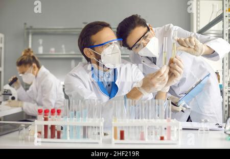 Medical scientists who are doing research in laboratory are looking at two glass tubes Stock Photo