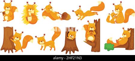 Cartoon cute squirrels sleeping, jumping, sitting on branch. Happy squirrel holding acorn, forest wildlife animal, woodland mascot vector set. Mother taking care of child, playing character Stock Vector