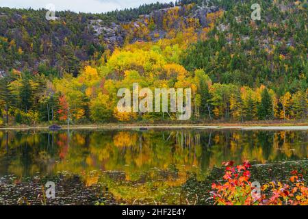 beautiful autumn reflections on Beaver Dam Pond in Acadia National Park, Maine, USA Stock Photo