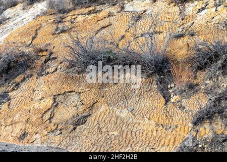 Morrison, Colorado - Wave ripple marks in the sandstone at Dinosaur Ridge. The ripple marks were left 100 million years ago when the area was a beach. Stock Photo