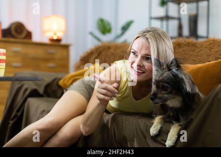 The girl shows the dog something in the other room. The dog watches with interest. Multiracial dog. Stock Photo