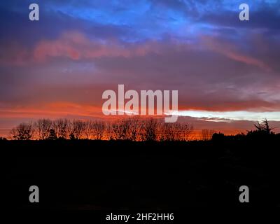 Silhouettes of trees under the red and blue cloudy sky during the sunrise Stock Photo