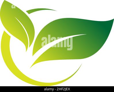 Green leaf, natural leaf icon logo design template vector Stock Vector