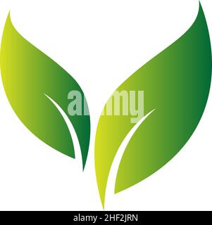 Green leaf, natural leaf icon logo design template vector Stock Vector