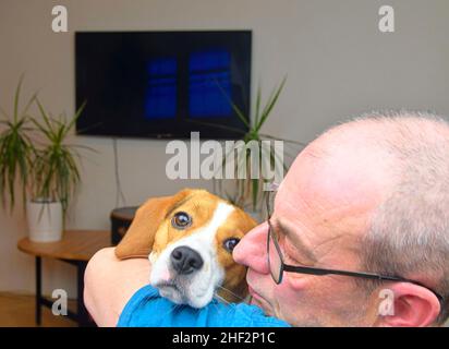 Portrait of a man holding a cute beagle dog. POV of happy dog owner holding puppy beagle dog in his arms Stock Photo
