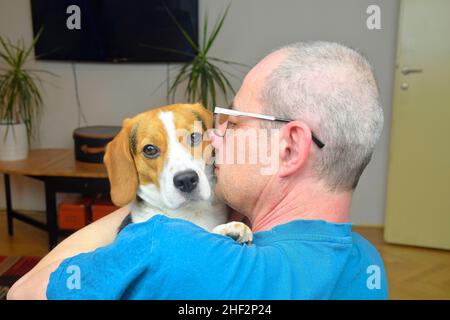 Portrait of a man holding a cute beagle dog. POV of happy dog owner holding puppy beagle dog in his arms Stock Photo