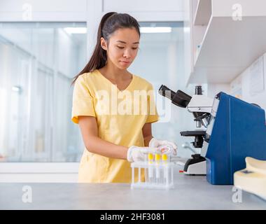 Young specialist working with analyzes in vet laboratory Stock Photo
