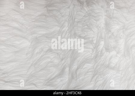 A seamless soft white fur texture