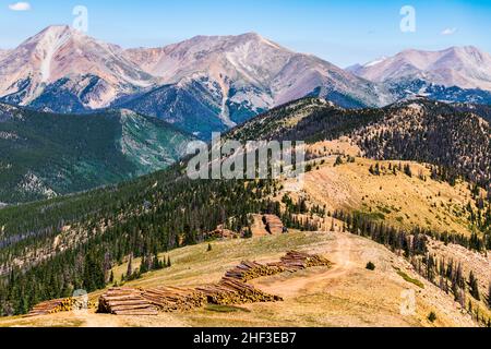 Felled logs; pine beetle kills; summer panorama view of Rocky Mountains; Continental Divide; from Monarch Pass; Colorado; USA Stock Photo