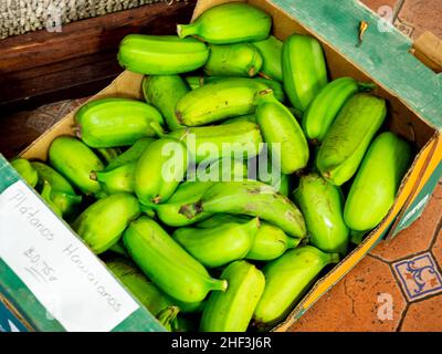 Plantanos, Plantains, Cooking bananas Stock Photo