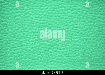 A fragment of natural leather with a fine mesh pattern painted in acid green color close-up. Background, pattern, texture. Stock Photo