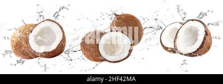 Fresh coconuts with water splash on isolated white background Stock Photo