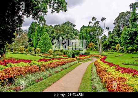 botanical Garden of Peradeniya, Kandi under dark raining season clouds Stock Photo