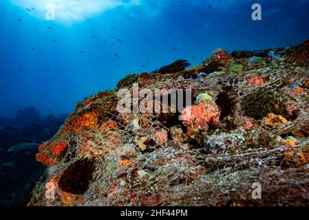 Lost ghost fishing net Apo Island Philippines Stock Photo